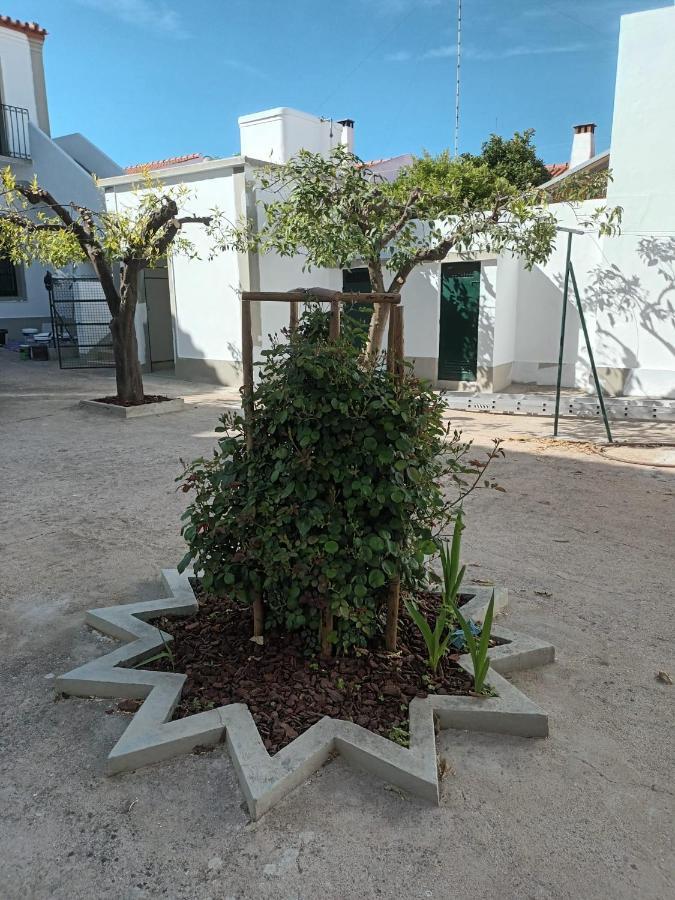 Casa Morais Pinto Apartment Reguengos de Monsaraz Bagian luar foto